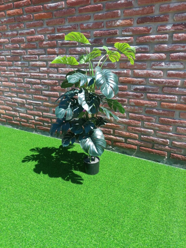 Monstera 125 cm