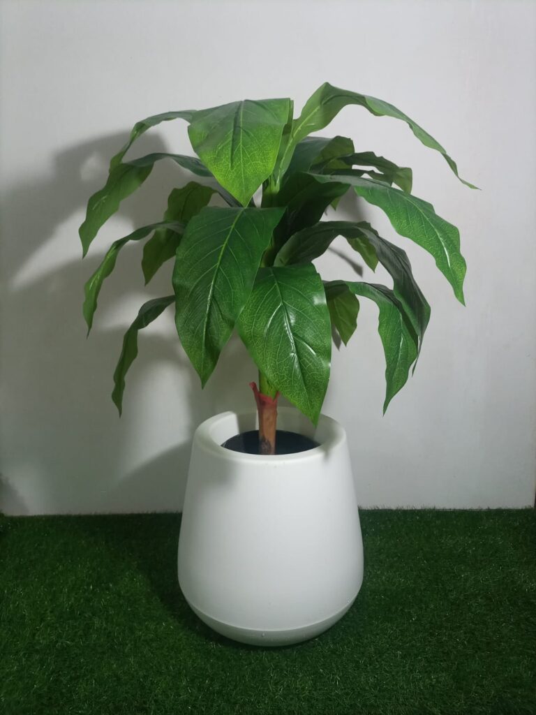 Palo de agua 80 cm