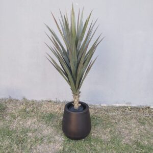 EXOTICA PREMIUM 120 CM