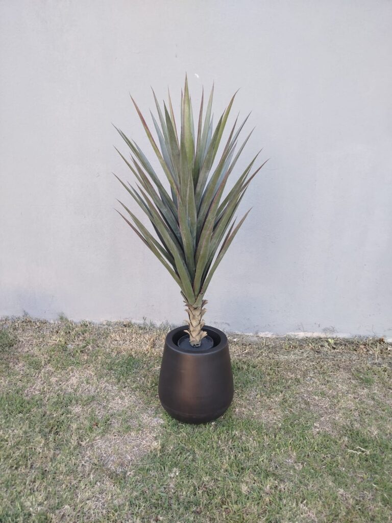 EXOTICA PREMIUM 120 CM
