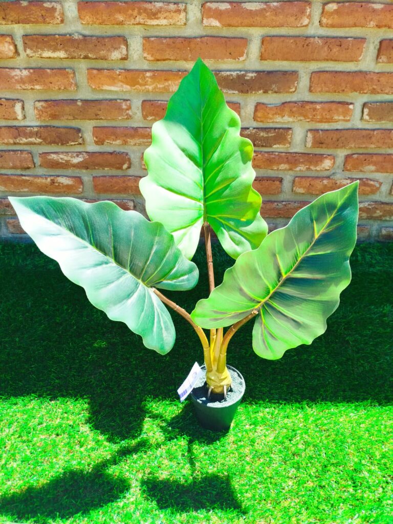 PLANTA 3 HOJAS PREMIUM