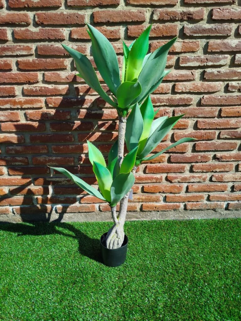 ALOE 110 CM 3 TRONCOS