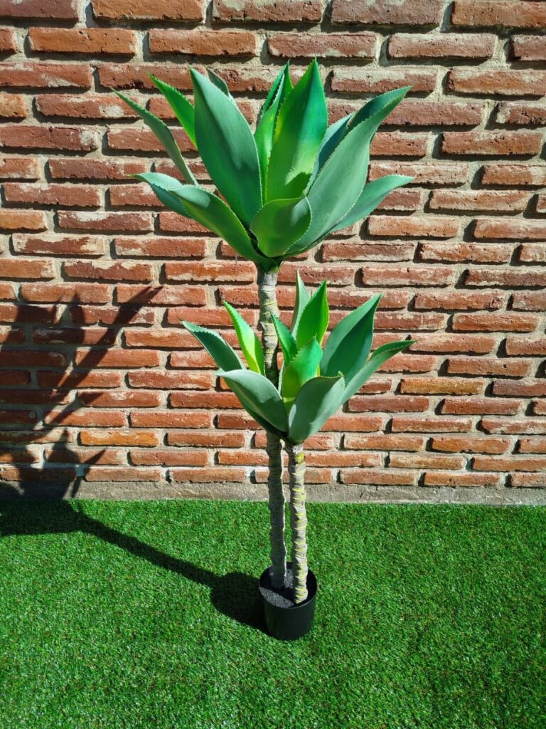 ALOE 120 CM 2 TRONCOS