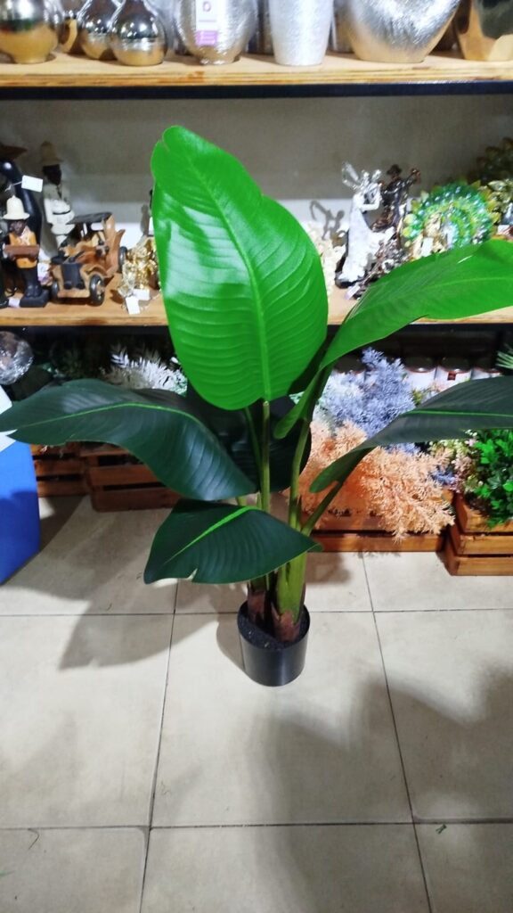 BANANO 80 CM