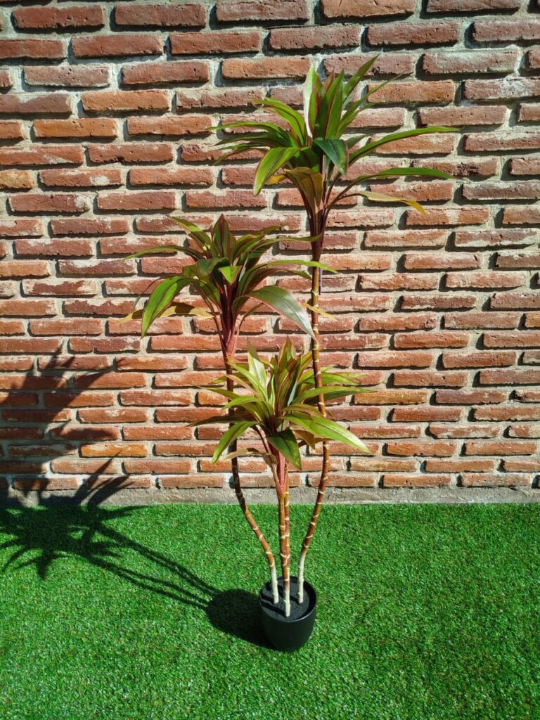 DRACENA YUCCA 140 CM 4 TRONCOS