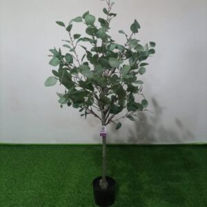EUCALIPTUS 130 CM