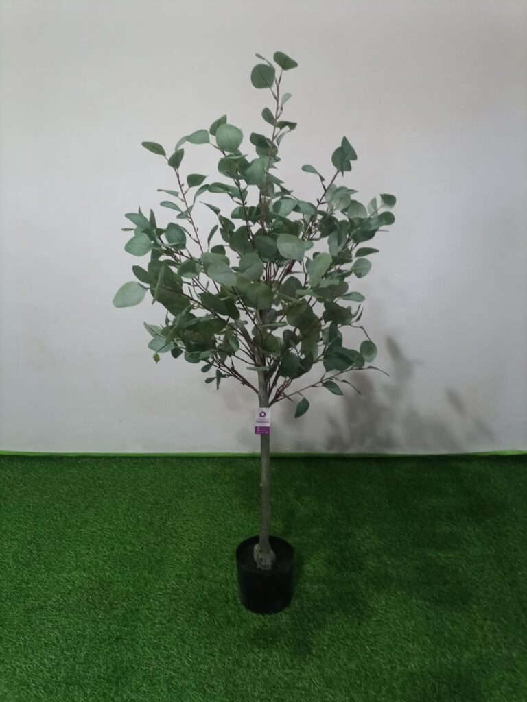 EUCALIPTUS 130 CM