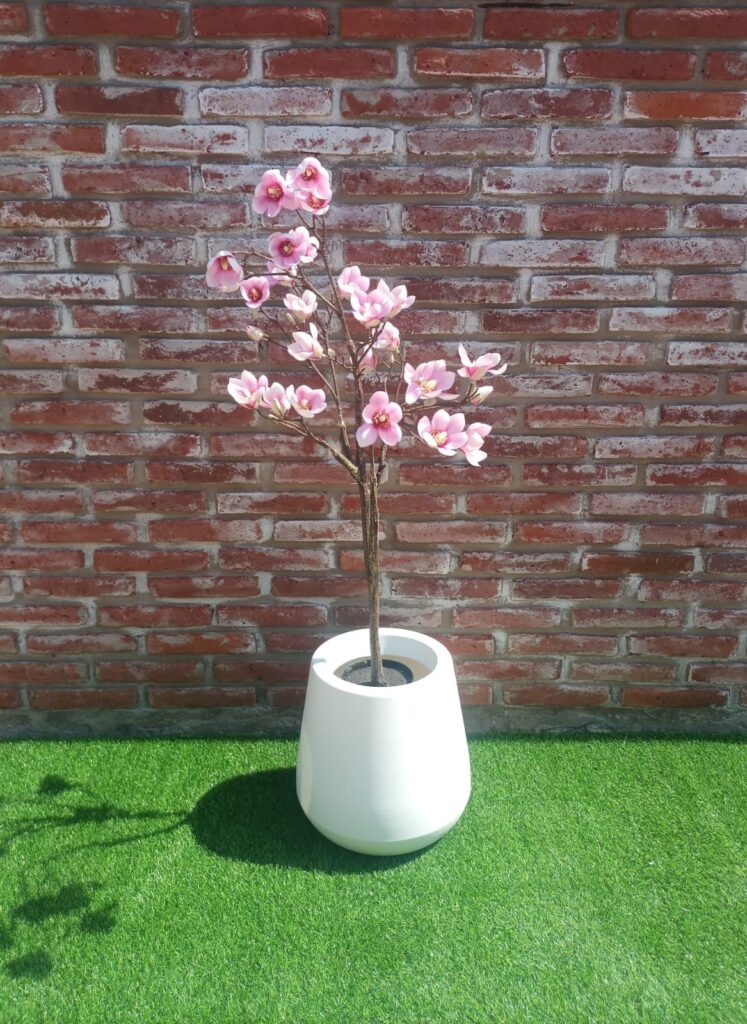 MAGNOLIA 110 CM
