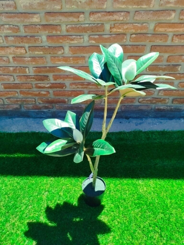 MAGNOLIA 80 CM