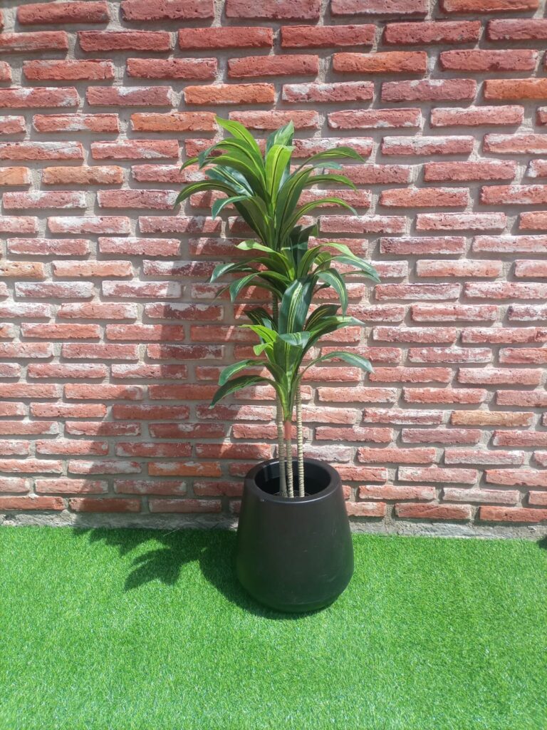 PALO DE AGUA 120 CM
