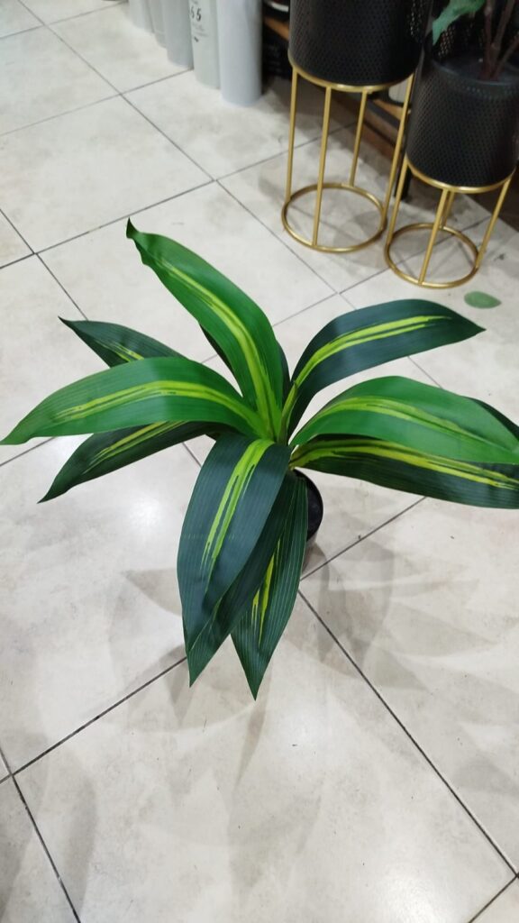 PALO DE AGUA MINI 55 CM