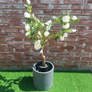 ROSAL BLANCO 110 CM