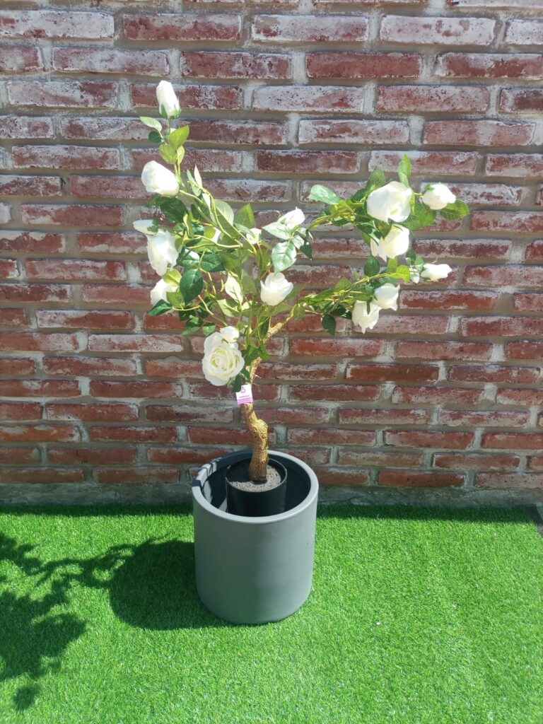ROSAL BLANCO 110 CM