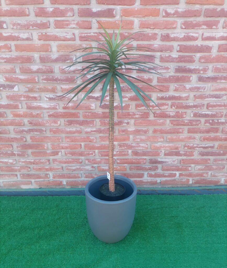 YUCCA 121 CM